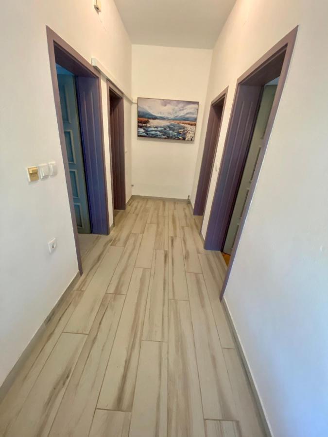 Apartments Stojanovic Vir Dış mekan fotoğraf